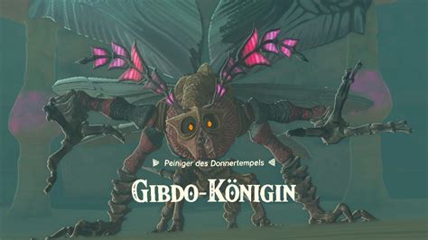 gibdo königin|THE LEGEND OF ZELDA TEARS OF THE。